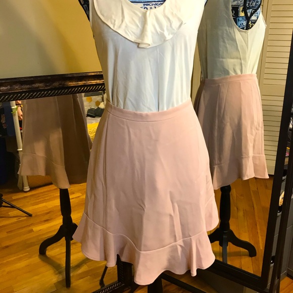 ❌Pale Pink Skirt - Picture 1 of 4